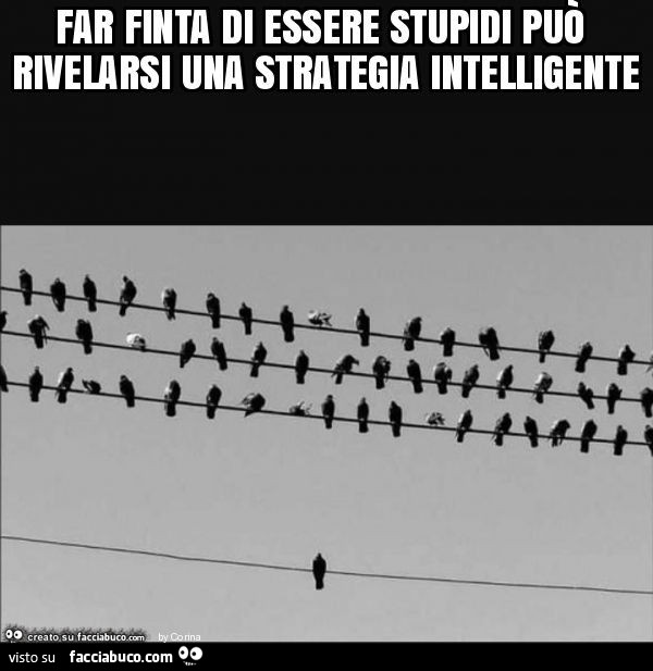 Far finta di essere stupidi può rivelarsi una strategia intelligente
