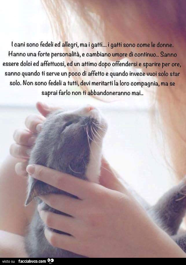 I cani sono fedeli ed allegri, ma i gatti, i gatti sono come le donne. Hanno una forte personalità, e cambiano umore di continuo. Sanno essere dolci ed affettuosi, ed un attimo dopo offendersi e sparire per ore