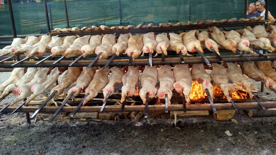 Vaccata