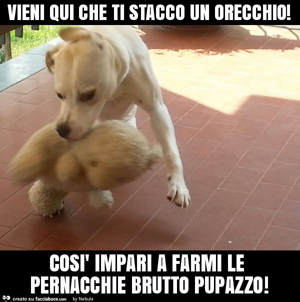 Vieni qui che ti stacco un orecchio! Così impari a farmi le pernacchie brutto pupazzo