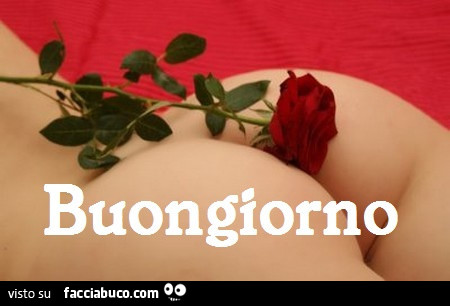 Rosa sul sedere. Buongiorno