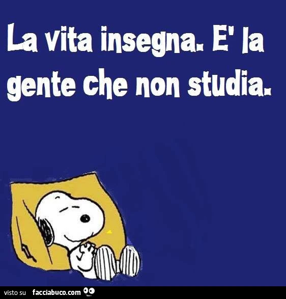 La vita insegna. È La gente che non studia