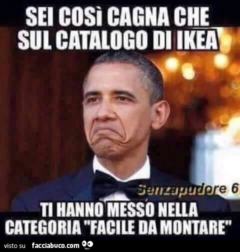 Sei così cagna che sul catalogo di Ikea ti hanno messo nella categoria facile da montare