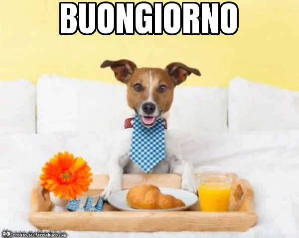 Buongiorno