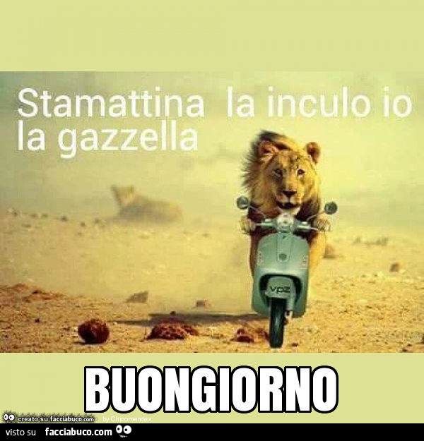 Buongiorno