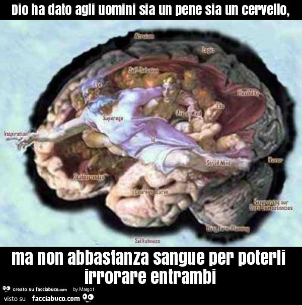 Dio ha dato agli uomini sia un pene sia un cervello, ma non abbastanza sangue per poterli irrorare entrambi