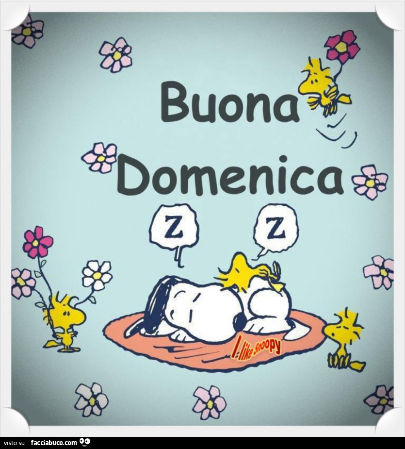 Buona domenica