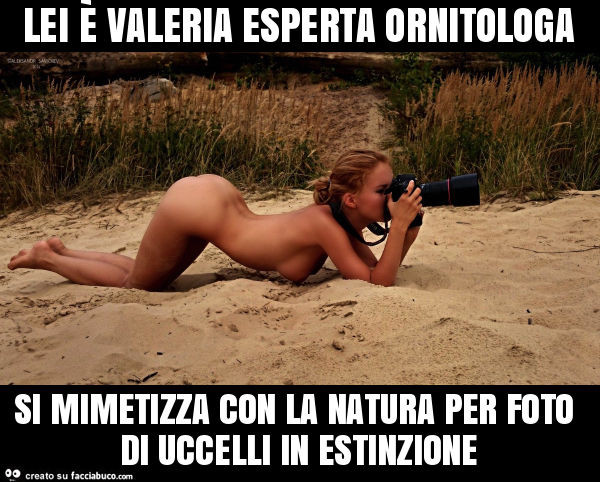 Lei è valeria esperta ornitologa si mimetizza con la natura per foto di uccelli in estinzione