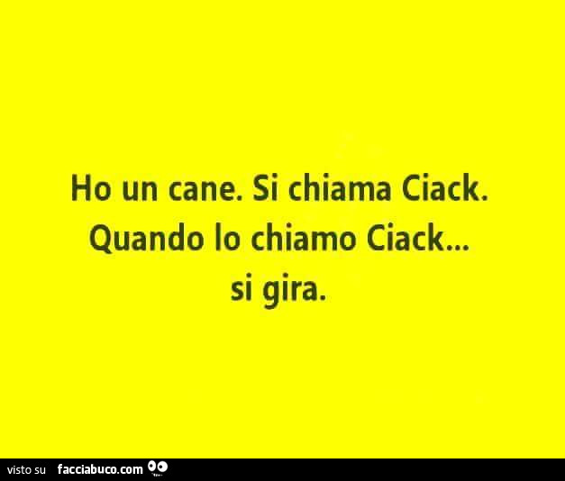 Ho un cane. Si chiama Ciack. Quando lo chiamo Ciack… si gira