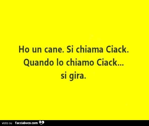 Ho un cane. Si chiama Ciack. Quando lo chiamo Ciack&hellip; si gira