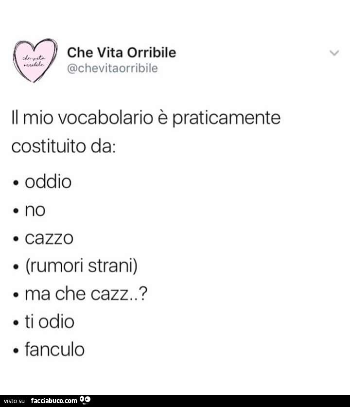 Il mio vocabolario è praticamente costituito da: oddio, no, cazzo, rumori strani, ma che cazz, ti odio, fanculo