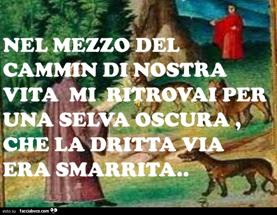 Nel mezzo del cammin di nostra vita mi ritrovai per una selva oscura, che la dritta via era smarrita