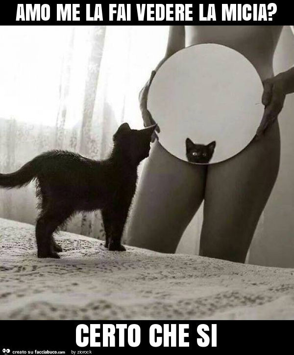 Amo me la fai vedere la micia? Certo che si