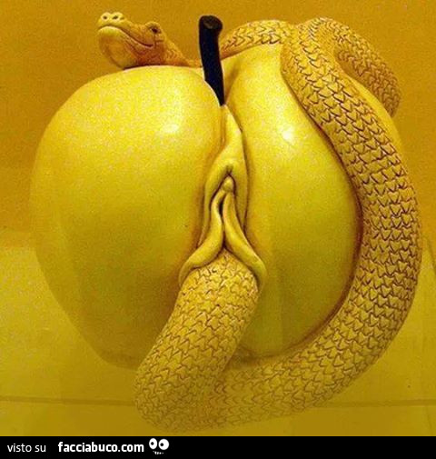 Serpente penetra la mela come fosse una vagina