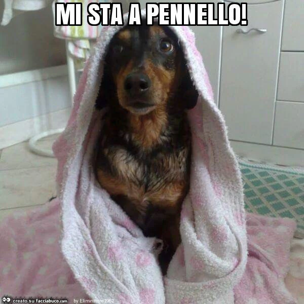 Mi sta a pennello