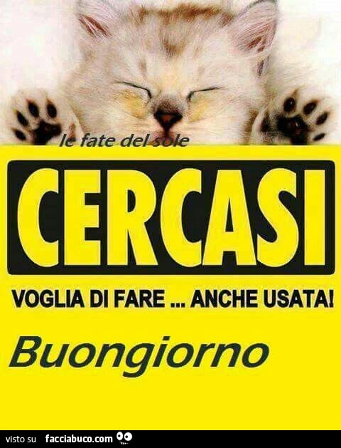 Cercasi voglia di fare&hellip; anche usata! Buongiorno