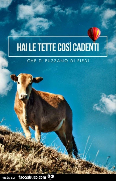 Hai le tette così cadenti che ti puzzano di piedi