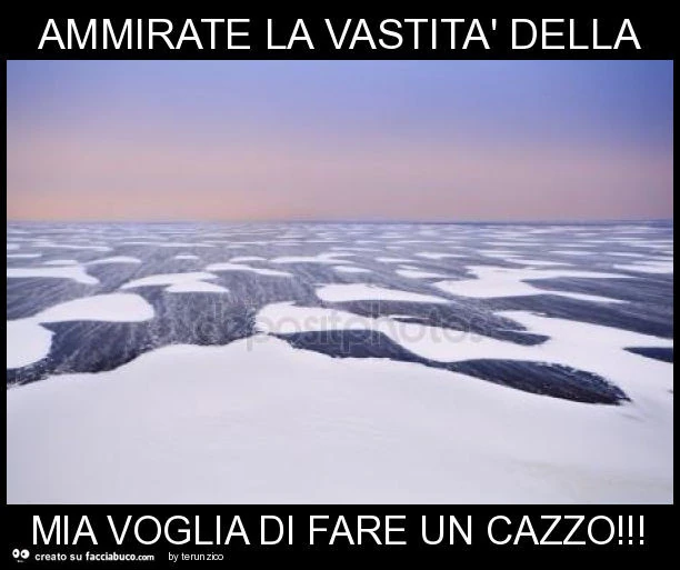 Ammirate la vastità della mia voglia di fare un cazzo
