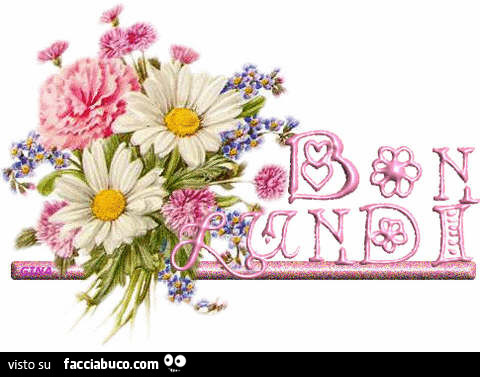 Fiori. Buon Lunedì