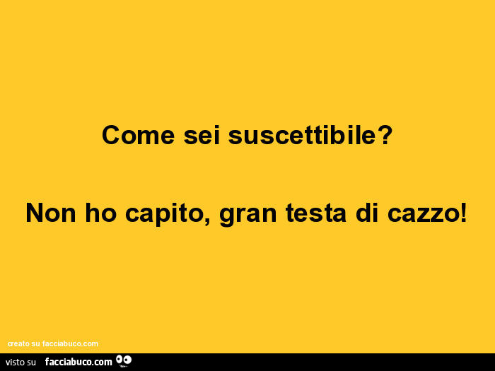 Come sei suscettibile? Non ho capito, gran testa di cazzo