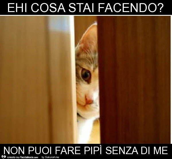 Ehi cosa stai facendo? Non puoi fare pipì senza di me