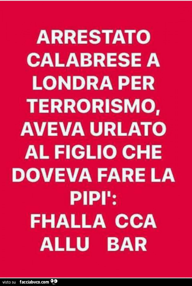 Arrestato calabrese a Londra per terrorismo, aveva urlato al figlio che doveva fare la pipì: fhalla cca allu bar