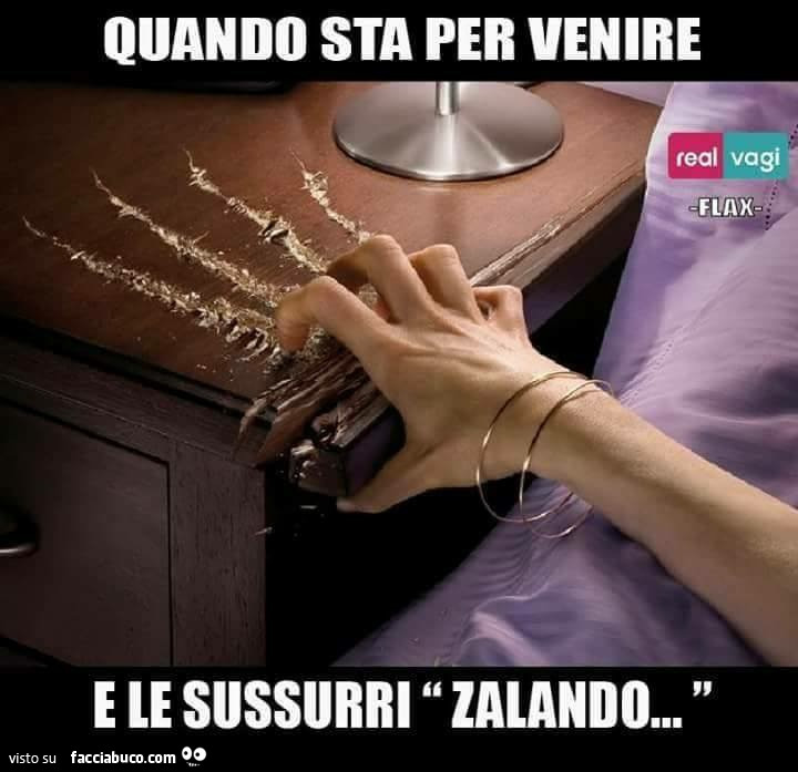 Quando sta per venire real e le sussurri zalando…