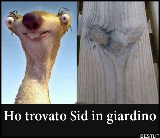 Sid era glaciale