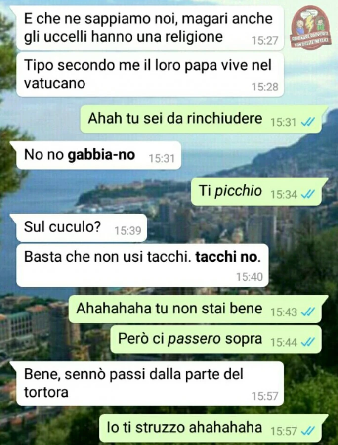 Vaccata