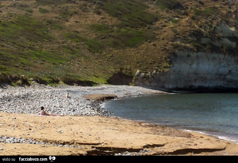 Spiaggia sarda di Orchideadea