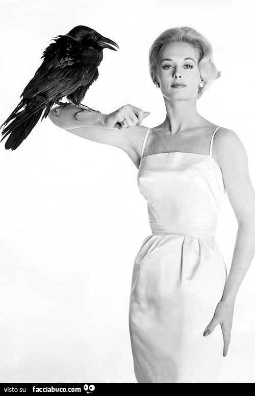 Donna con grosso uccello nero sul braccio