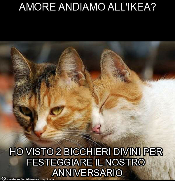 Amore andiamo all'ikea? Ho visto 2 bicchieri divini per festeggiare il nostro anniversario