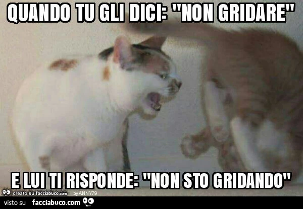 Quando tu gli dici: non gridare e lui ti risponde: non sto gridando