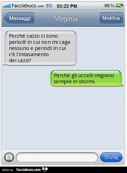 Perché cazzo ci sono periodi in cui non mi caga nessuno e periodi in cui c'è l'intasamento dei cazzi? Perché gli uccelli migrano sempre in stormi