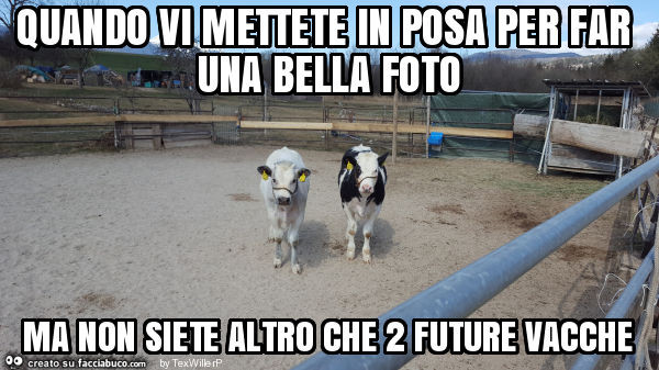 Quando vi mettete in posa per far una bella foto ma non siete altro che 2 future vacche