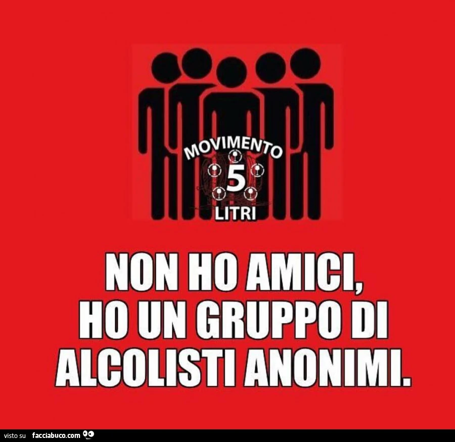 Non ho amici, ho un gruppo di alcolisti anonimi