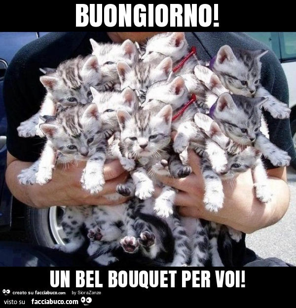 Buongiorno! Un bel bouquet per voi