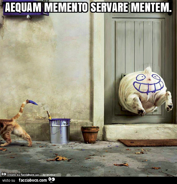 Aequam memento servare mentem