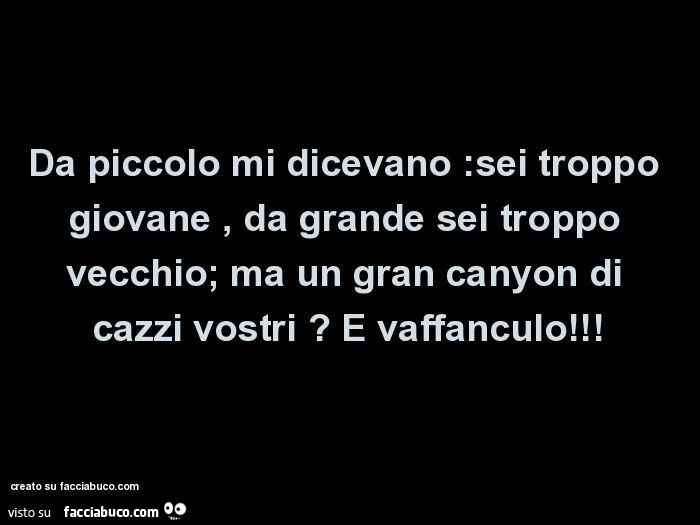 Da piccolo mi dicevano: sei troppo giovane, da grande sei troppo vecchio; ma un gran canyon di cazzi vostri? E vaffanculo