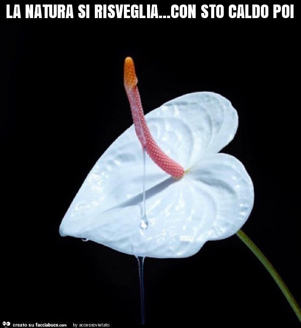 La natura si risveglia… con sto caldo poi