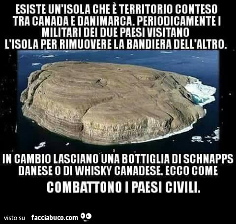 Esiste un'isola che territorio conteso tra canada e danimarca. Periodicamente i militari dei due paesi visitano l'isola per rimuovere la bandiera dell'altro. In cambio lasciano una bottiglia di schnapps danese o di whisky canadese ecco come