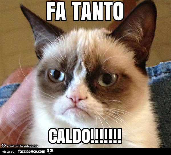 Fa tanto caldo