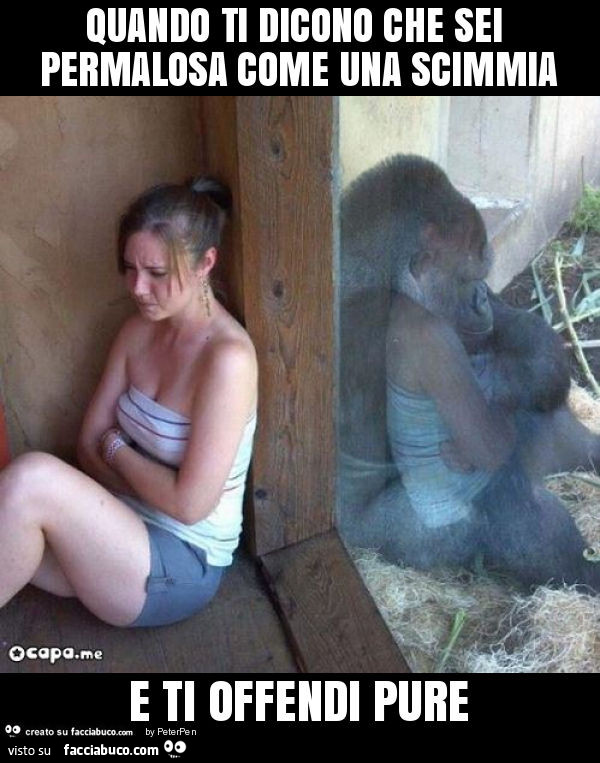 Quando ti dicono che sei permalosa come una scimmia e ti offendi pure