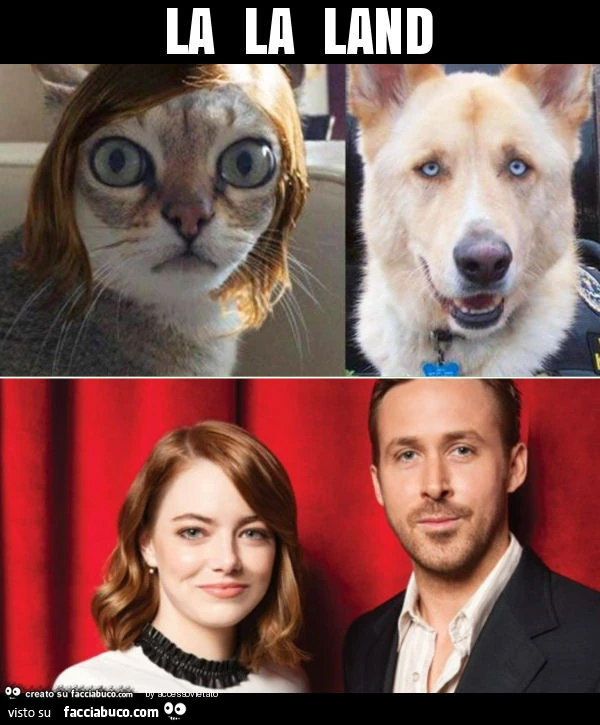 La la land
