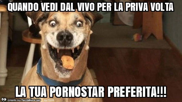 Quando vedi dal vivo per la priva volta la tua pornostar preferita