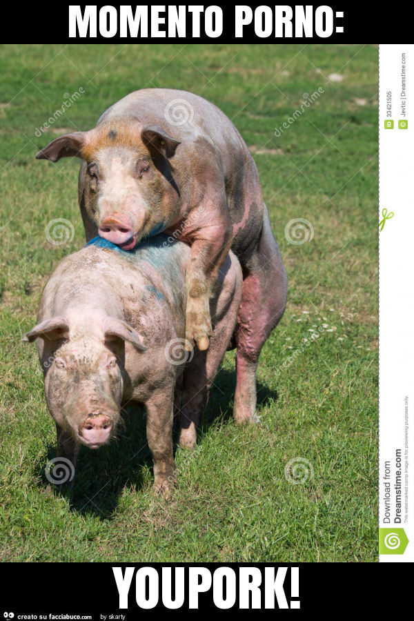 Momento porno: youpork