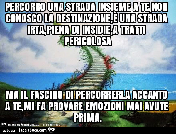 Percorro una strada insieme a te, non conosco la destinazione, è una strada irta, piena di insidie, a tratti pericolosa ma il fascino di percorrerla accanto a te, mi fa provare emozioni mai avute prima