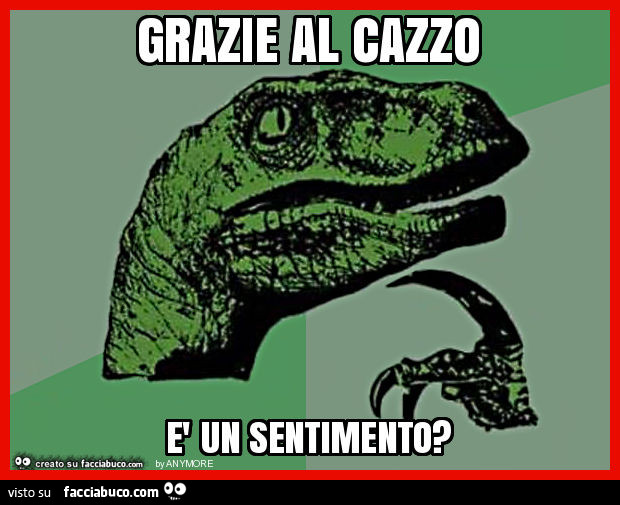 Grazie al cazzo è un sentimento?