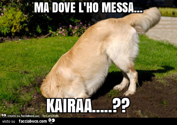 Vaccata