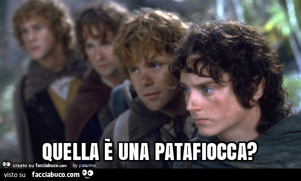 Quella è una patafiocca?